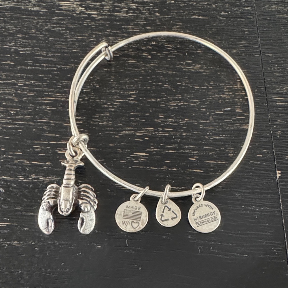 Alex and Ani Silver Lobster Charm Bangle
